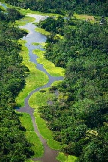 imagenes de la selva amazonica colombiana | Argentina em ...