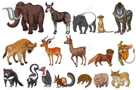 Imágenes de los animales terrestres todo en imágenes ...