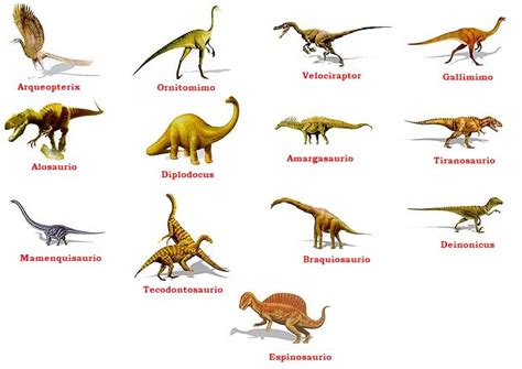 Imágenes de nombres de dinosaurios | Imágenes