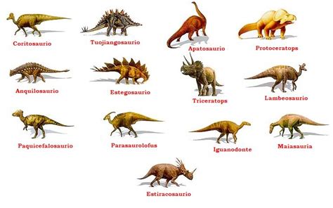 Imágenes de nombres de dinosaurios | Imágenes