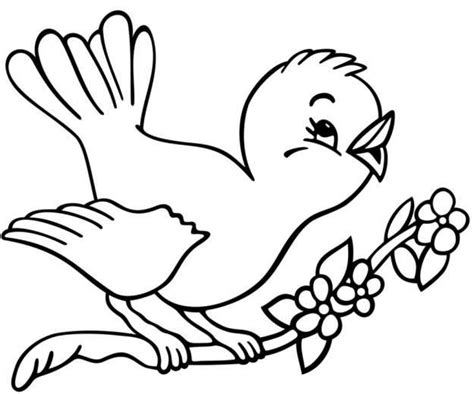 Imágenes de pájaros para dibujar