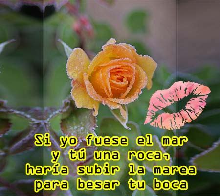 Imagenes de Rosas Amarillas con Frases de Amor – ROSAS DE AMOR