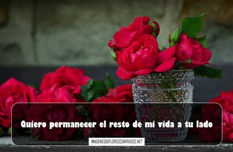 Imágenes De Rosas Bonitas De Amor, Rosas Con Frases Románticas
