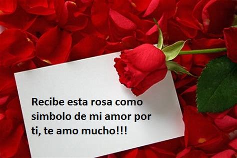 Imágenes de rosas con dedicatoria para un amor | Imagenes de amor gratis