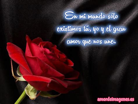 Imágenes de Rosas con Frases de Amor