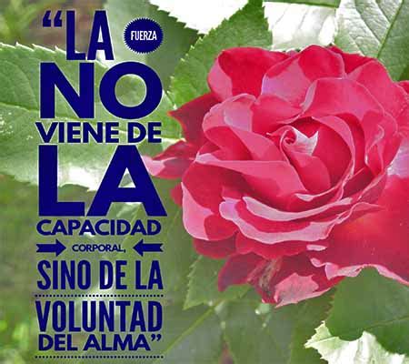Imagenes de Rosas con Frases de Motivacion – ROSAS DE AMOR