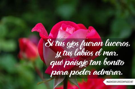 Imágenes De Rosas Con Poemas Cortos De Amor