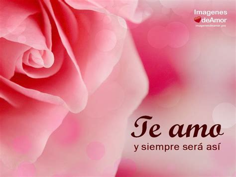 Imágenes de rosas hermosas 8 | Rosas hermosas con frases, Frases de te ...