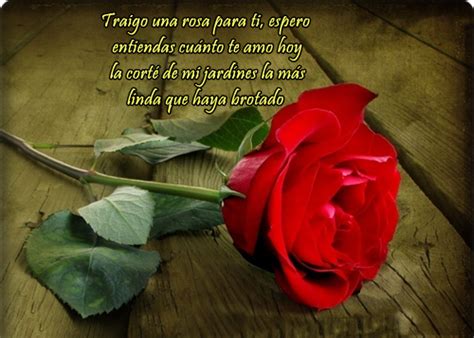 Imágenes de rosas hermosas con dedicatoria | Imagenes de amor gratis