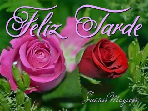 Imagenes De Rosas Para Desear Feliz Tarde En Facebook