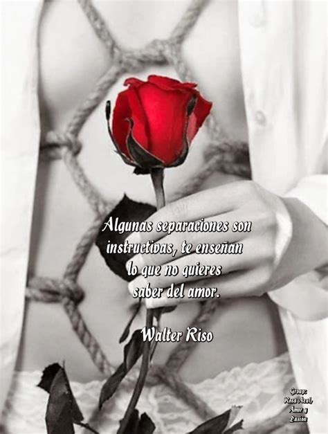 Imágenes de rosas rojas con frases de amor | Información ...