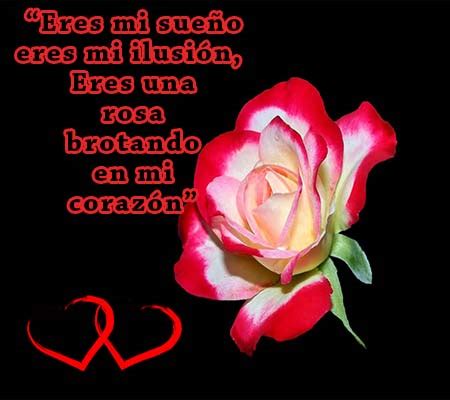 Imagenes de rosas rojas con frases de amor – ROSAS DE AMOR