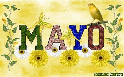 Imágenes de “Bienvenido Mayo” – “Hola Mayo” con frases ...