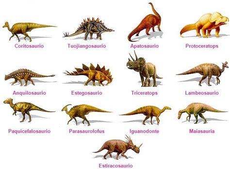 Imágenes de tipos de dinosaurios | Imágenes