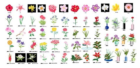 Imágenes de tipos de flores | Imágenes
