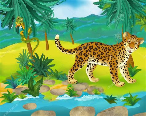 Imágenes: descarga de la leopardo | leopardo de dibujos ...