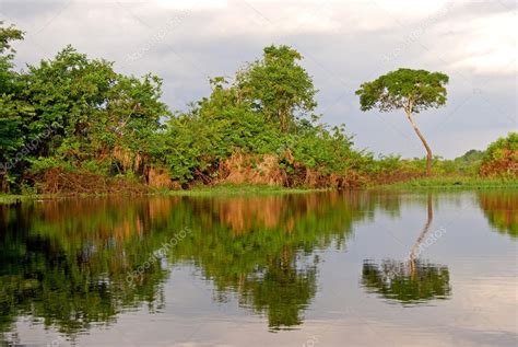 Imágenes: paisajes de la selva amazonica | Selva amazónica ...