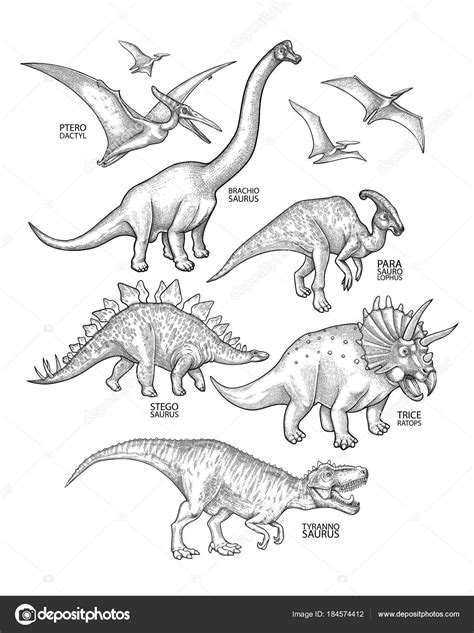 Imágenes: realista para colorear | Dinosaurios gráficos ...