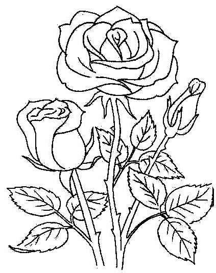 Imagenes Rosas Para Colorear / Dibujos de rosas para colorear, pintar e ...