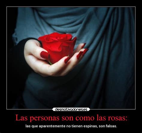 Imágenes y Carteles de ROSAS Pag. 5 | Desmotivaciones