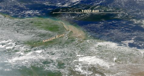Impact of Tropical Rivers on the Marine Ecosystem