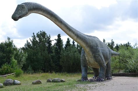 ¡Impactante! Australotitan: uno de los dinosaurios más ...