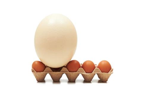 ¿Importa realmente el tamaño de los huevos?