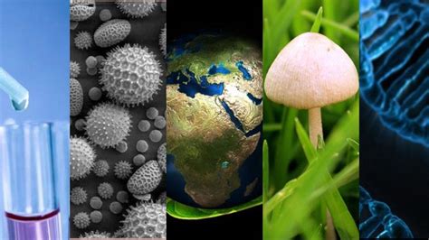 Importancia de la Biología: 10 Razones Claves   Lifeder