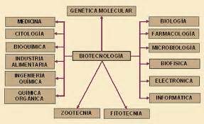 Importancia de la Biotecnología : Biotecnología