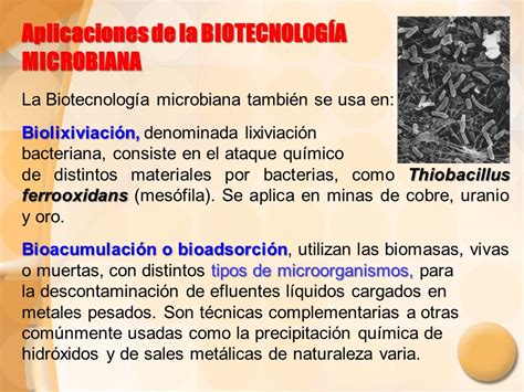 Importancia de la Biotecnología Microbiana: Bioinformática ...