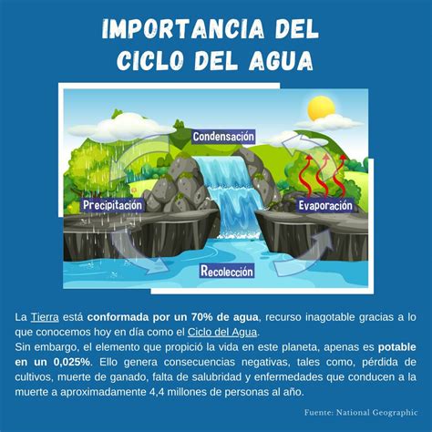 Importancia del ciclo del Agua   Conexion Ambiental