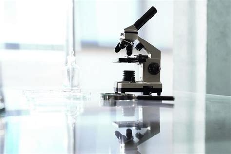 Importancia del Microscopio para la Ciencia y Humanidad ...