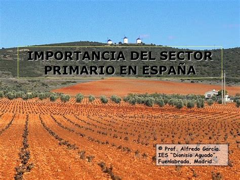 Importancia del sector primario en España