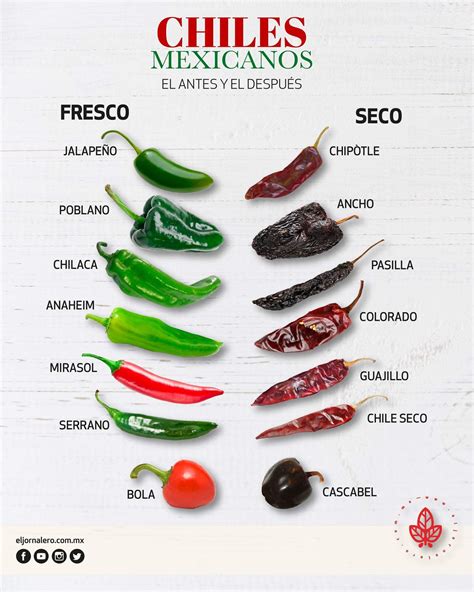 In case any of you dry your own chiles! : gardening