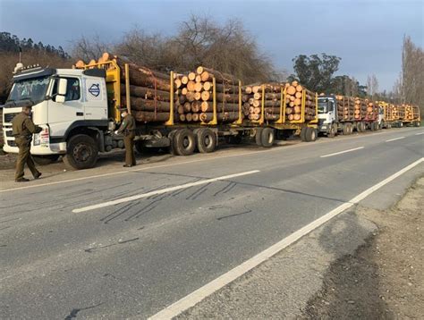 Incautaron seis camiones que transportaban maderas con ...
