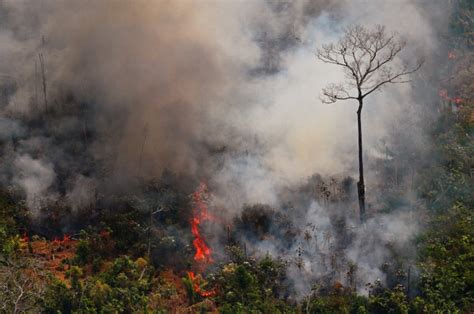 Incendies en Amazonie: Bolsonaro, sous pression, autorise ...