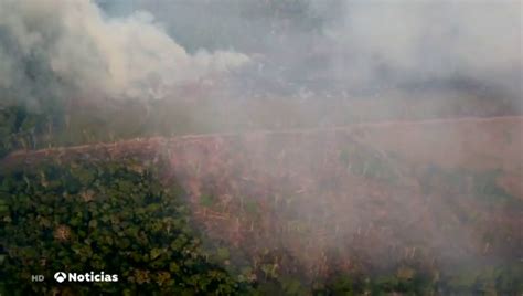 Incendio Amazonas: ¿Por qué se quema el Amazonas? | ANTENA ...