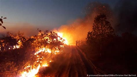 Incendio en Amazonas: Bolsonaro reconoce falta de pruebas ...