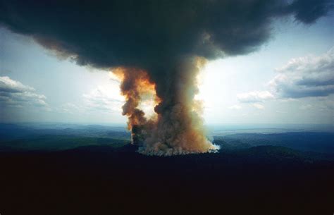 Incendio en la Amazonia: porqué pasó, cómo afecta y cómo ...