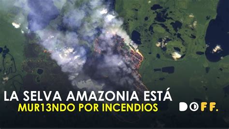 Incendio en la selva del Amazonas no para y está ...