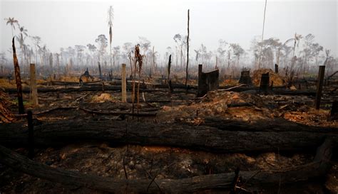 Incendios en el Amazonas 2019: Contaminación en el aire ...