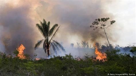 Incendios en el Amazonas repercuten en Ecuador, Perú y ...