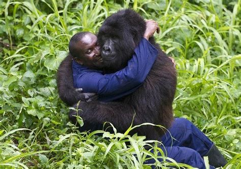 Incredible Images Show The Bond Between Endangered ...
