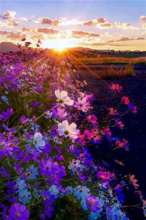 Increibles imagenes de amaneceres en el campo hermosos ...