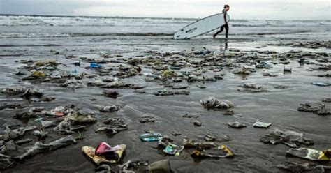 Indonesia busca reducir su contaminación marina en un 70% ...