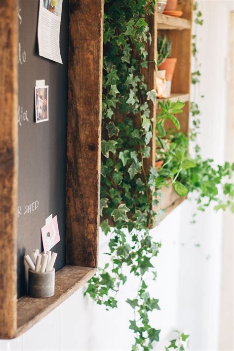 Indoor Ivy … | Pinteres…