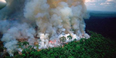 Infierno en el Amazonas: más de 70,000 incendios en lo que ...