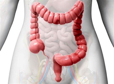 Inflamación del colon: síntomas y causas más habituales