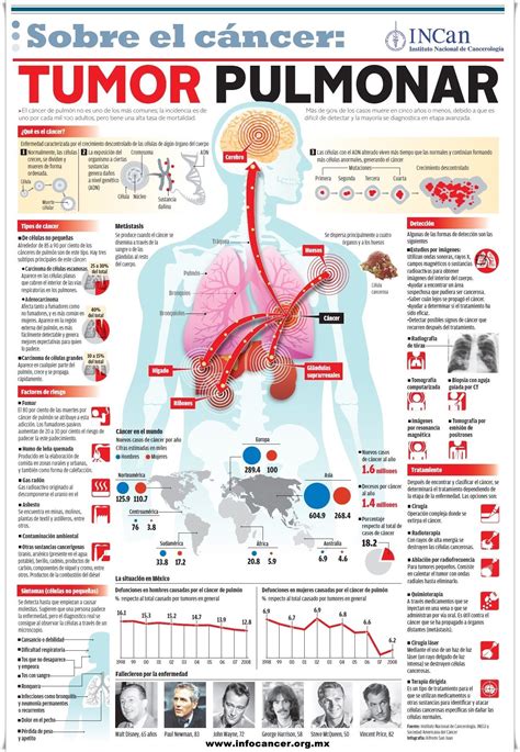 Infocáncer. Infografía Tumor Pulmonar   Cáncer | Educación ...