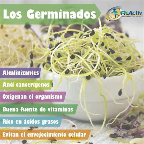 Infografia beneficios de los germinados | Alimentos saludables ...